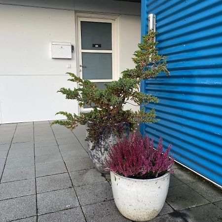 David'S Apartment 塞尔福斯 外观 照片
