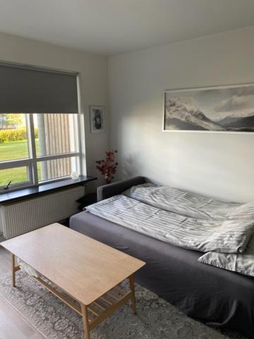 David'S Apartment 塞尔福斯 外观 照片